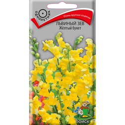 ���������� ������� ��� Ƹ���� �����  