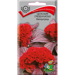 ���������� ������� ����������� �����������  