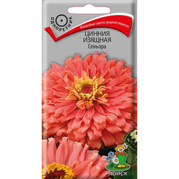 ���������� ������ ������� �������  