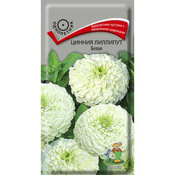 ���������� ������ �������� �����  