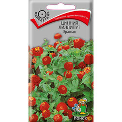 ���������� ������ �������� �������  