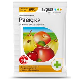 ���������� ��� (2 ��)  