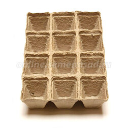 ���������� ������ �������� (12 �����) 50�50  