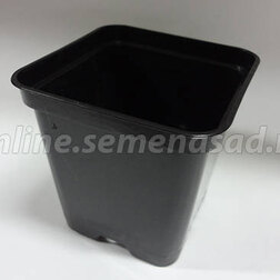 ���������� ������ �9 (9�9�10) ������ ( �����, ������)  