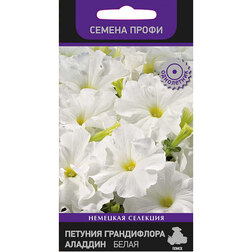 ���������� ������� ����������� ������ ����� (������ �����)  