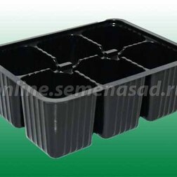 ���������� ���� ������� �/�������-6�����  