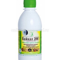 ���������� ������ ��-1 (0,25�.)  