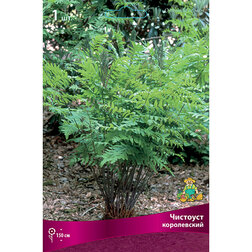 ���������� �������� �����������  