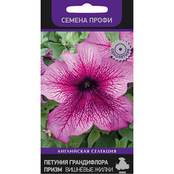 ���������� ������� ����������� ����� �������� ����� (������ �����)  