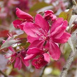 ���������� ������ ������������� ������  