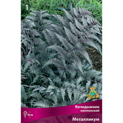 ���������� ���������� �������� ����������  