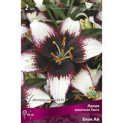 ���������� ����� ��������� ����� ���� �� (2 ��.)  