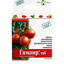 ���������� ������ ( 20���.) (������������� ��-� �� �����,������ �����,�������� ���-�� � ��.)  