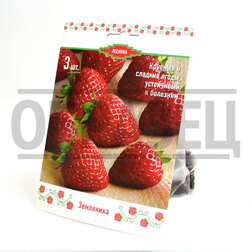 ���������� ��������� ������� ����� ������� (3 ��.)  