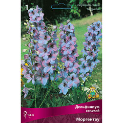 ���������� ���������� ������� ���������  