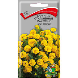 ���������� �������� ����������� �������� ����� �������  