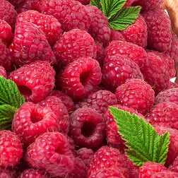 ���������� ������ ������  