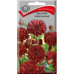 ���������� ������ ������ �������  