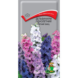 ���������� ���������� ���������� ������ �����  