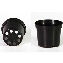 ���������� ������ MZ D22 Forma (������) 5�  