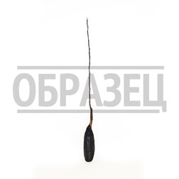 ���������� ������ ��������  