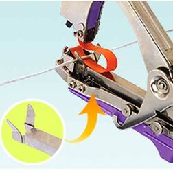 ���������� �������� �����  