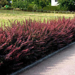 ���������� �������� �������� ������������  