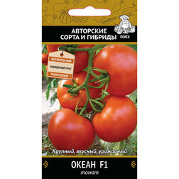 ���������� ����� ����� F1  