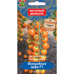 ���������� ����� ��������� ���� F1 (��������� ���������)  