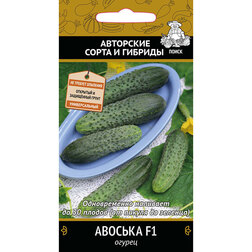 ���������� ������ ������� F1  