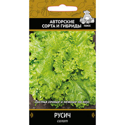 ���������� ����� �����  