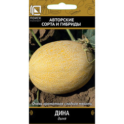 ���������� ���� ����  