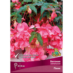 ���������� ������� ��������� ���� (2 ��.)  