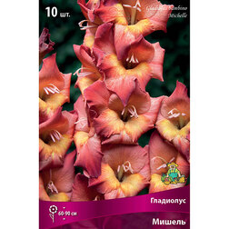 ���������� ��������� ������� ������  