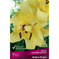 ���������� ����� ��������� �������� ����� ����� (1 ��.)  