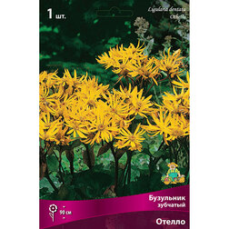 ���������� ��������� �������� ������  