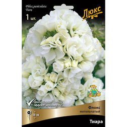 ���������� ����� ����������� �����*  