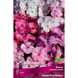 ���������� ����� ����������� ����� ��� �����  