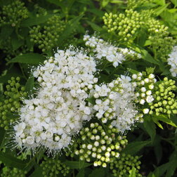 ���������� ������ �������� ���������  