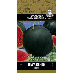 ���������� ����� ���� �����  