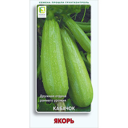 ���������� ������� �����  