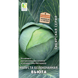 ���������� ������� ������������ ����� (��������� �����)  