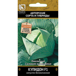 ���������� ������� ������������ ������� F1  