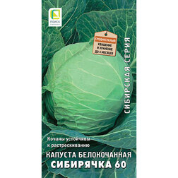 ���������� ������� ������������ ��������� 60 (��������� �����)  