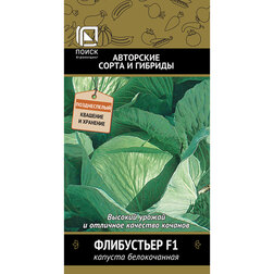 ���������� ������� ������������ ���������� F1  