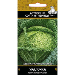 ���������� ������� ��������� ��������  