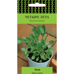 ���������� �����-����� ���� (������ ����)  