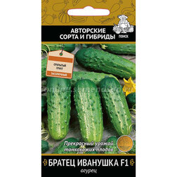 ���������� ������ ������ �������� F1  