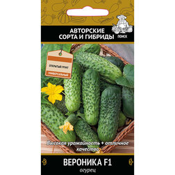 ���������� ������ �������� F1  