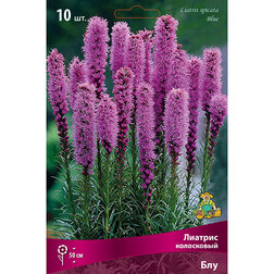 ���������� ������� ���������� ��� (10 ��.)  